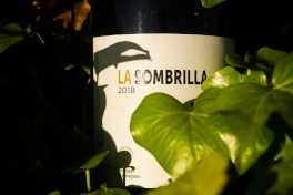 Embotellados los vinos de pago de la añada 2018